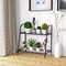Costway 2-tier Metal Plant Stand Shelf Flower Pot Holder Display Rack Shoe Organizer